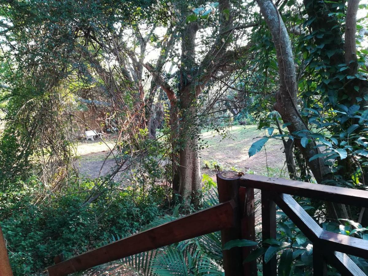 Beach Wood Cottages Shelly Beach Exteriör bild